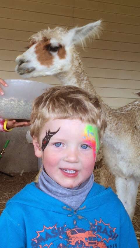 Photo: Omaru Alpaca Farm Photo: Omaru Alpaca Farm